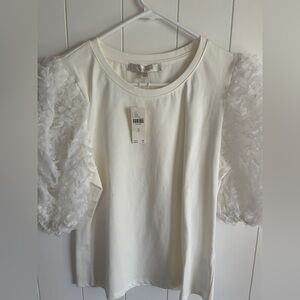 Chic Anthropologie Cream Top Size M